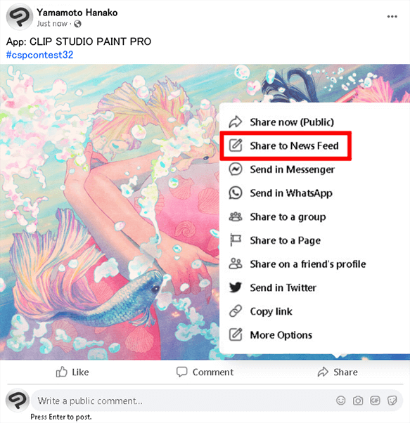 How to Apply Example of Facebook entry