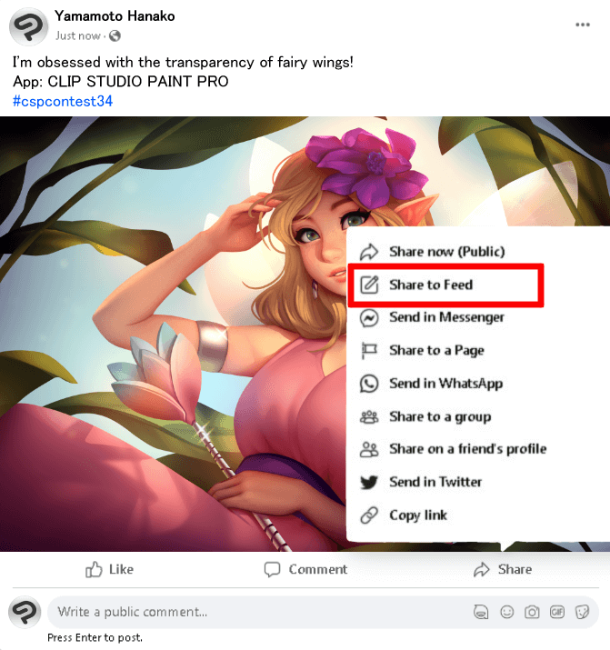 Example of Facebook entry