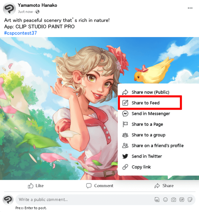 Example of Facebook entry